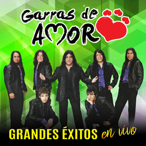 Grandes Éxitos (En Vivo)