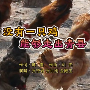 没有一只鸡能够走出青县 伴奏 (伴奏)