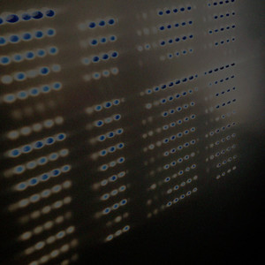 100 CORAÇÃO (Explicit)