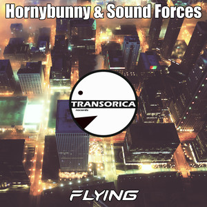 Flying (Original Mix)