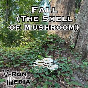 Fall (The Smell of Mushroom) (From "Stardew Valley") (Cover Version)