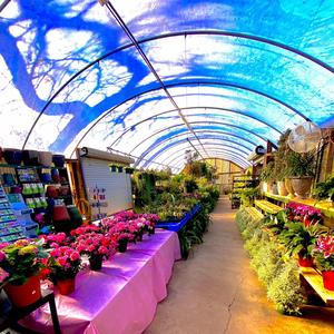 Poetic (feat. E11EVEN) (Explicit)