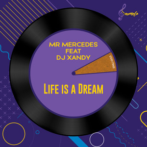 Life Is A Dream (feat. Dj Xandy) (Remix)