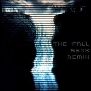 The Fall (Synx Remix)