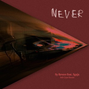 Never (Seb Cryer Remix)