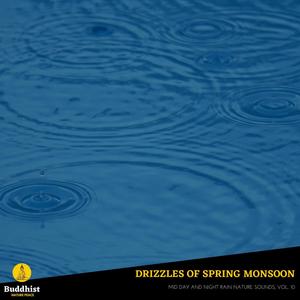 Drizzles of Spring Monsoon - Mid Day and Night Rain Nature Sounds, Vol. 10