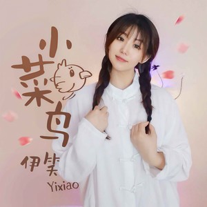 小菜鸟 (DJ野花版)