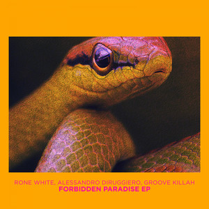 Forbidden Paradise (Original Mix)