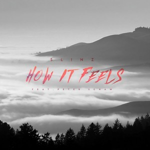 How it Feels(feat. Peter Schaw)
