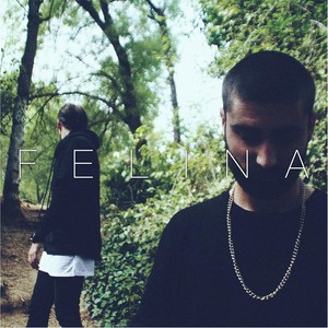 Felina(feat. Juanhoc) (Explicit)