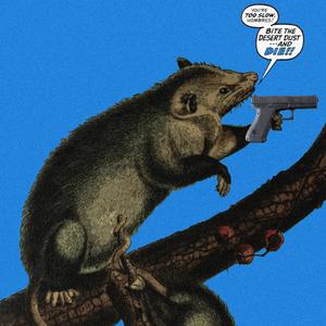 Awesome Possum (For a Short Film)