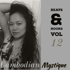 Hip Hop Beats & Hooks, Vol. 12