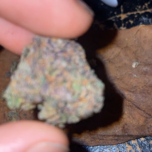 WickedManFreestyle (Explicit)