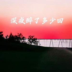 深夜醉了多少回 (重感情语录)