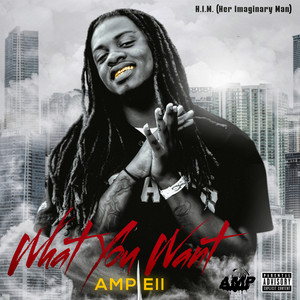 What You Want (Explicit)