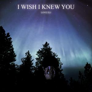 I WISH I KNEW YOU (Explicit)