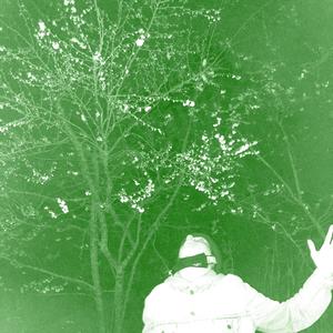 Bollywood(feat. Oskar Witt) (Explicit)