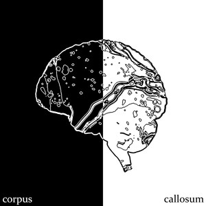 Corpus Callosum (Explicit)