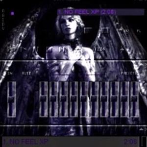 NO FEEL XP (Explicit)