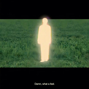 Dream of Light Leakage