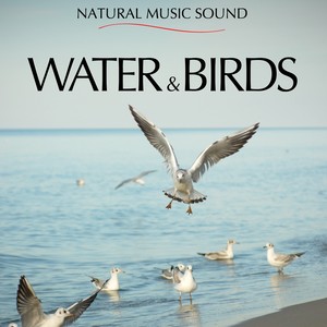 Water & Birds (Natural Music Sound)