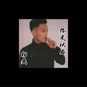 你走以后