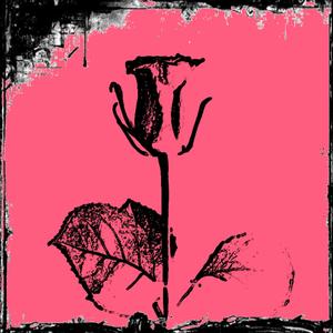 Need Somebody to Love