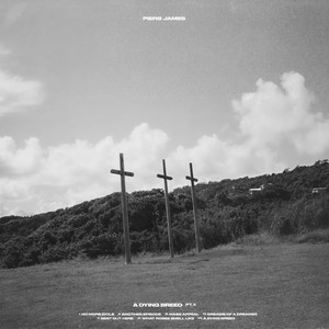 What Roses Smell Like