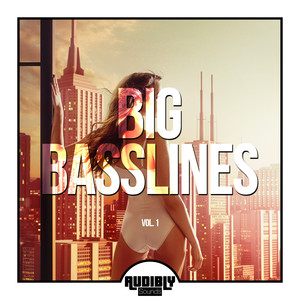 Big Basslines, Vol. 1