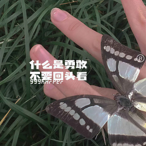 什么是勇敢 不要回头看