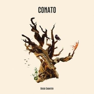 Conato (Explicit)