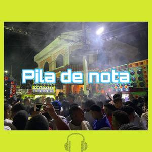 Pila de nota