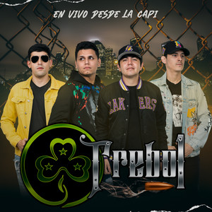 Hasta La Raiz (En Vivo)