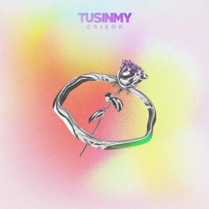 TUSINMY