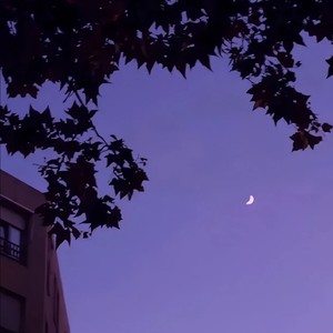 我的眼泪毫无意义