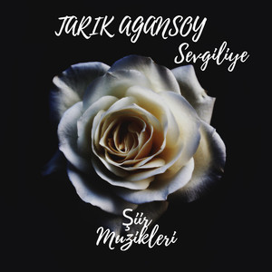 Sevgiliye (Şiir Müzikleri)