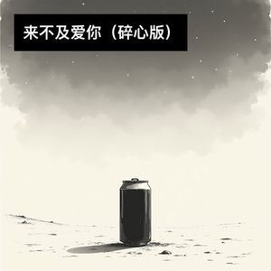 来不及爱你 (碎心版)