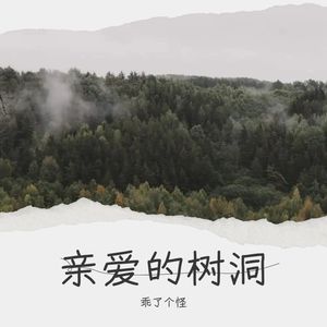 亲爱的树洞封面