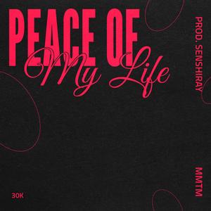 Peace Of My Life (Explicit)