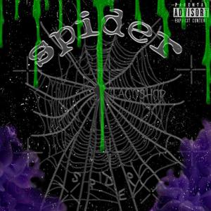 Spider (freestyle) [Explicit]