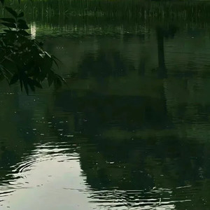 艳