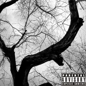 Took Me To The Woods (Explicit)