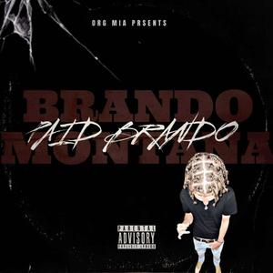 Brando Montana (Explicit)