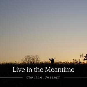 Live in the Meantime (Live)