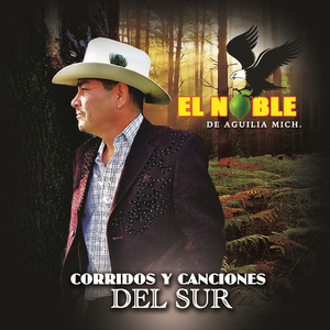 Corridos y Canciones del Sur