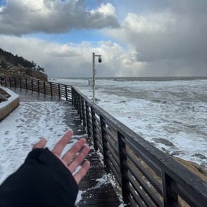 旁观者 - 你总是这样