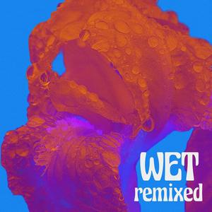 WET remixed (Explicit)