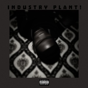 INDUSTRY PLANT!