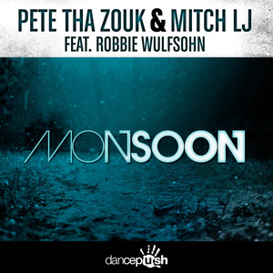 Monsoon (Niv Cohen Remix)