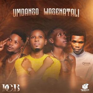 Amashots Ayangjulukisa (feat. Lady Nobster & Fantastic Soundz)